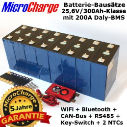 Top-Class LiFePO4-Batteriebausatz: 8 Zellen, frei konfigurierbares Daly-BMS mit Vollausstattung!