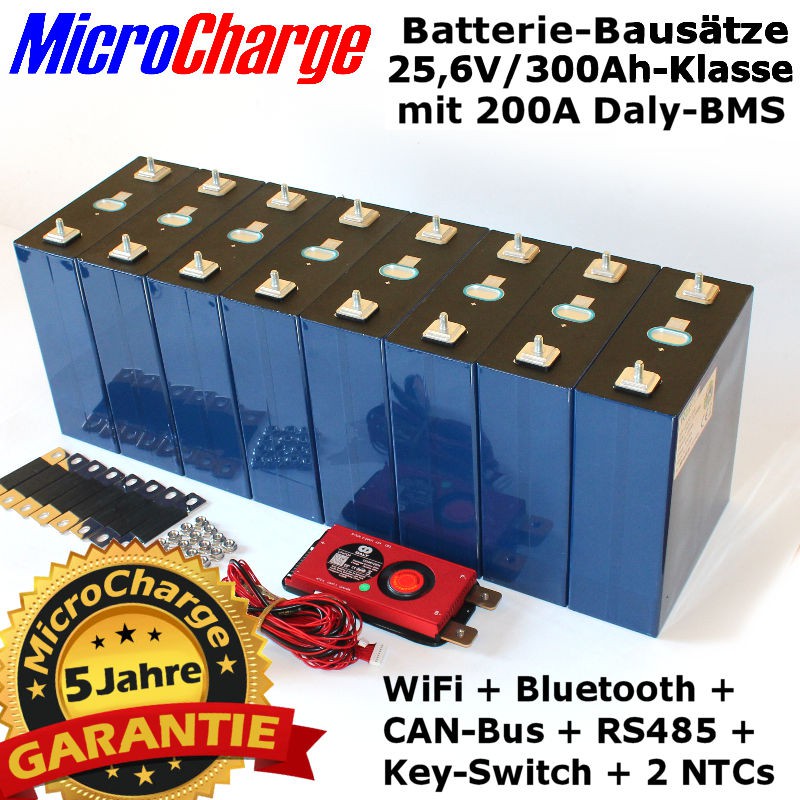 Top-Class LiFePO4-Batteriebausatz: 8 Zellen, frei konfigurierbares Daly-BMS mit Vollausstattung!